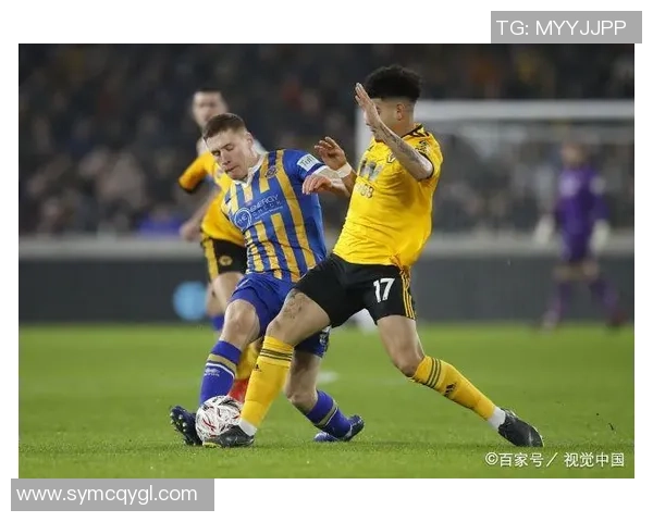 狼队与什鲁斯伯里对决前瞻及比分预测分析