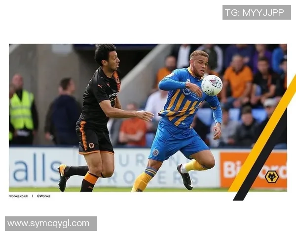 罗瑟汉姆与什鲁斯伯里比赛结果分析及精彩瞬间回顾